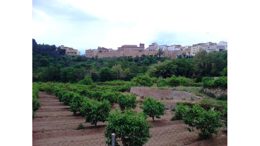 Foto 1 de Vista del castillo y las murallas de Segorbe