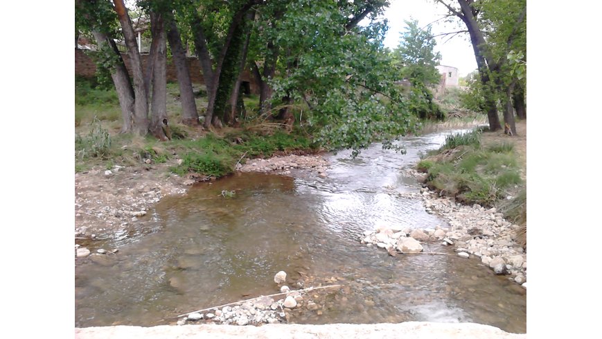 Foto 1 de Río Palancia
