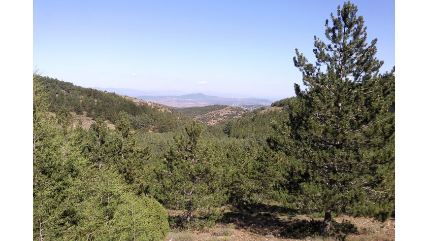 Foto 2 de Empezando a bajar