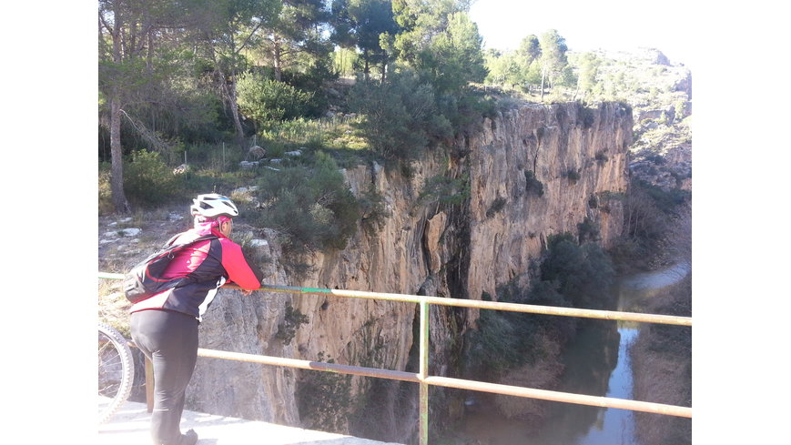 Foto 4 de Puente sobre el Túria