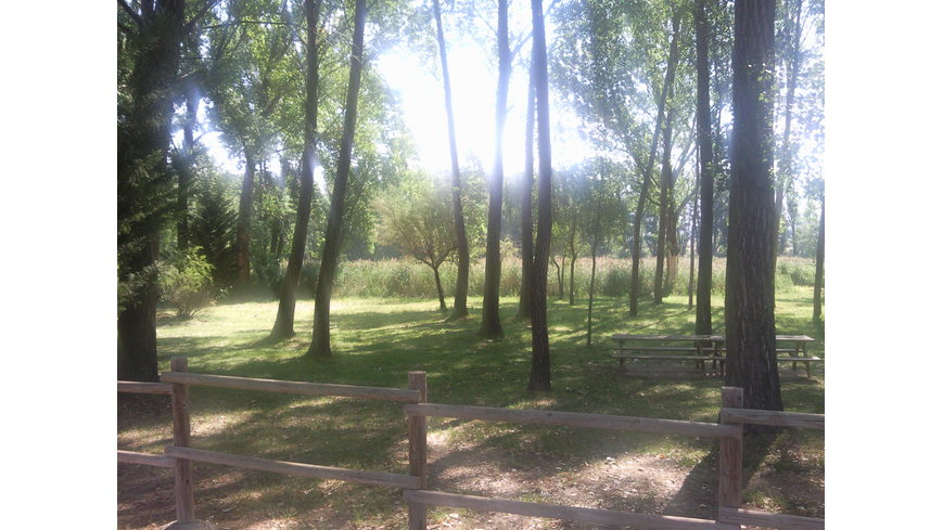Foto 3 de Área de Recreo, Monreal del Campo