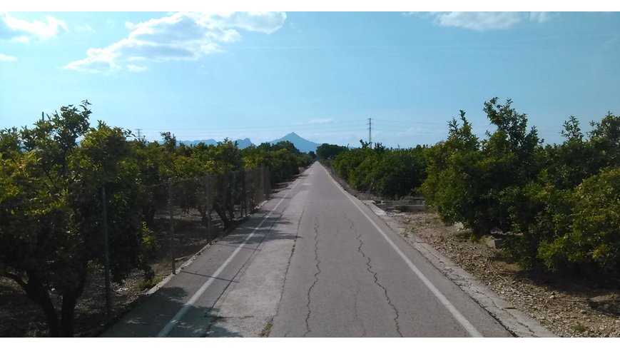 Foto 4 de Dándolo todo por la Marina Alta