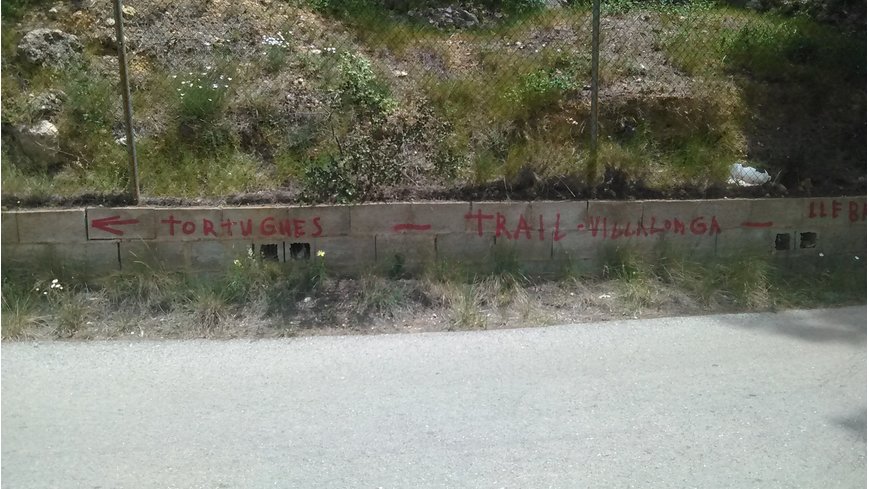 Foto 1 de Llebres o tortugues