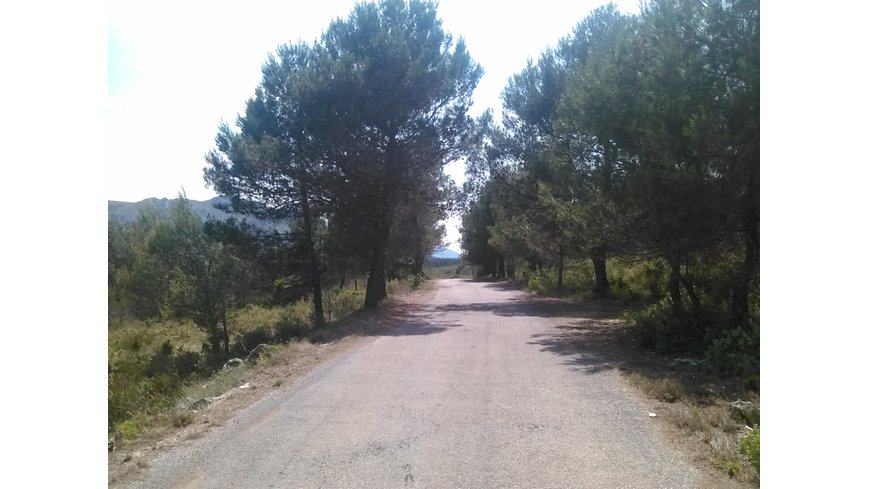 Foto 1 de Bajando el puerto de Alpatró