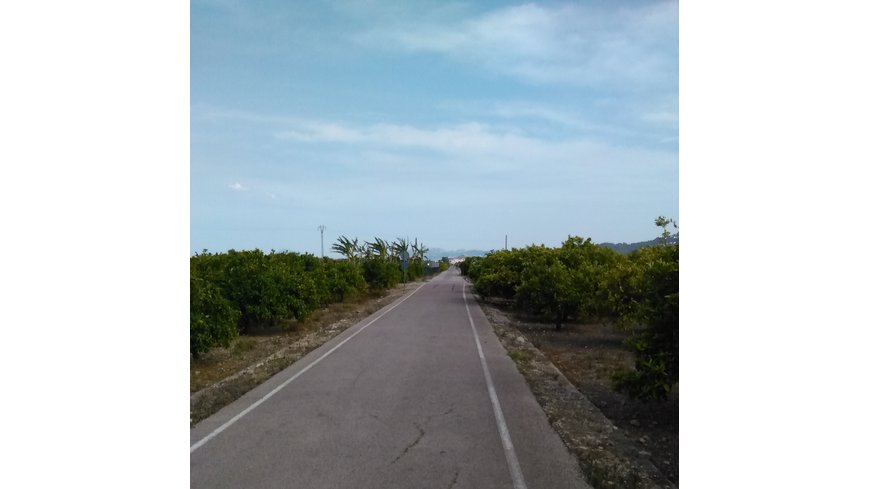 Foto 1 de Vía verde de la Safor a la altura de Bellreguard