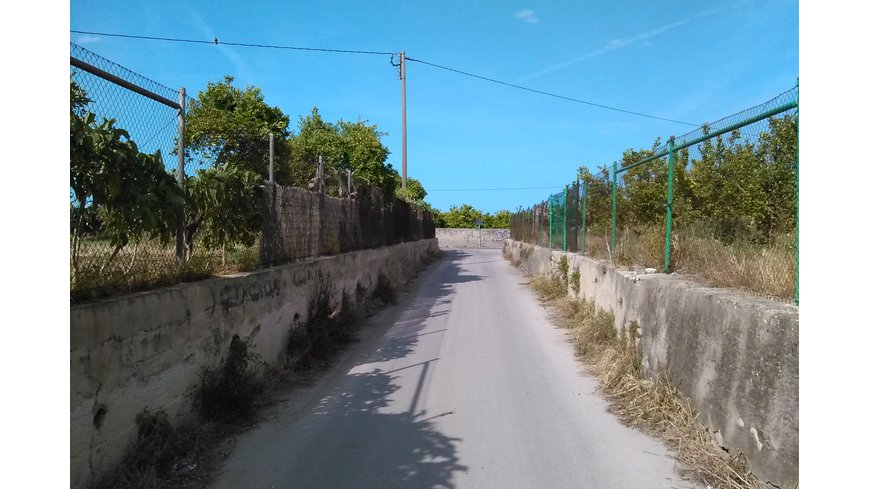 Foto 1 de Caminos de huerta antes de entrar a Gandía