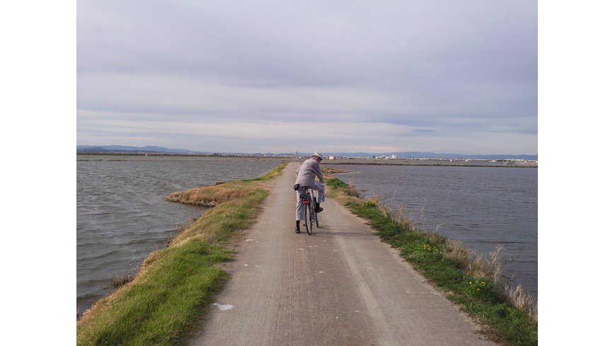 Foto 6 de Estrenando la bici de mi padre por la Albufera