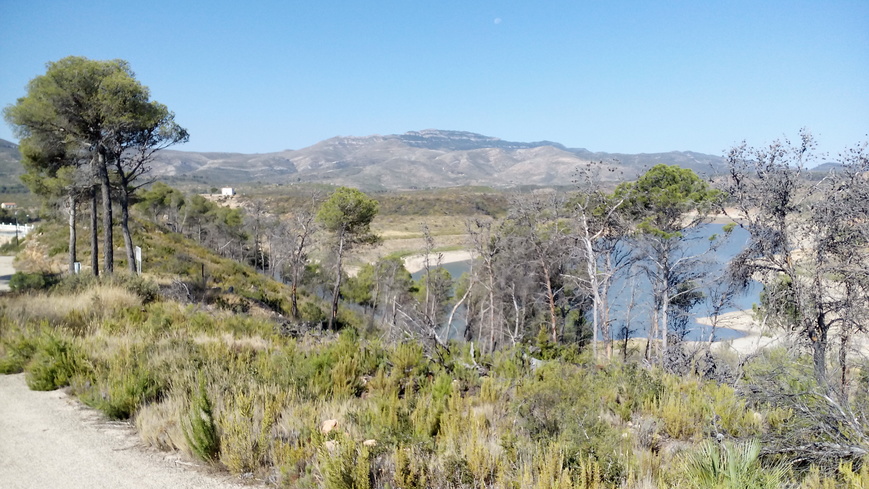 Foto 6 de Vista del embalse de Forata