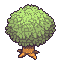 Un árbol