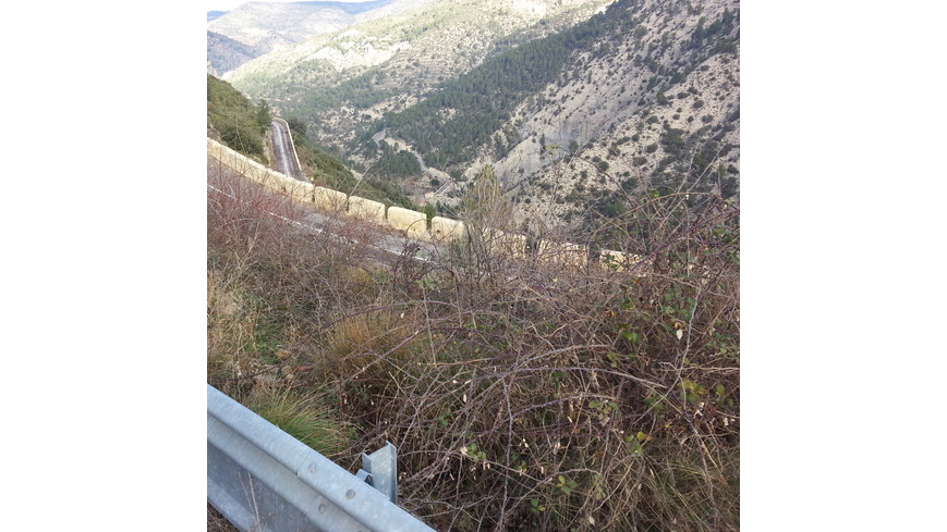 Foto 3 de Río Arcos desde Losilla