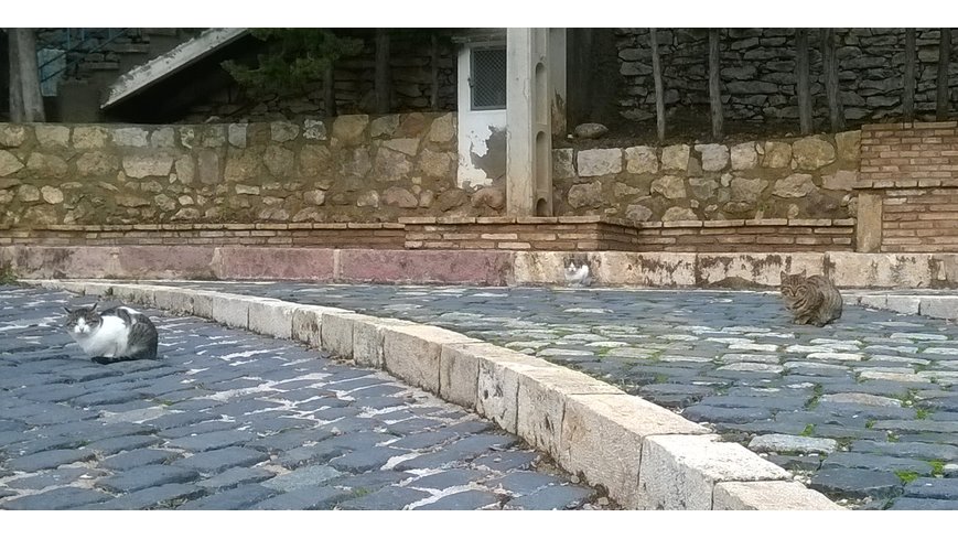 Foto 5 de Entre puerto y puerto, la Ermita del Remedio